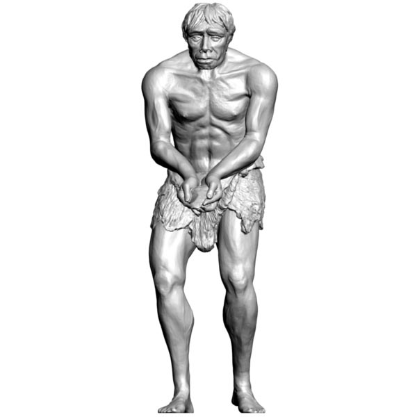 Homo Heidelbergensis model