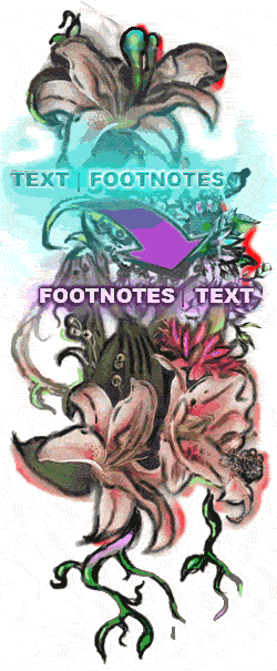 textfootnotes