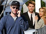 EXCLUSIVE: Liam Hemsworth shopping at an organic grocery store in Los Angeles amid reports he is engaged to Miley Cyrus again\n\nPictured: Liam Hemsworth\nRef: SPL1214477  250116   EXCLUSIVE\nPicture by: Clint Brewer / Splash News\n\nSplash News and Pictures\nLos Angeles: 310-821-2666\nNew York: 212-619-2666\nLondon: 870-934-2666\nphotodesk@splashnews.com\n