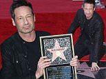 Mandatory Credit: Photo by Jim Smeal/BEI/Shutterstock (5567587k)\nDavid Duchovny\nDavid Duchovny honored with s star on yhe Hollywood Walk Of Fame, Los Angeles, America - 25 Jan 2016\nDavid Duchovny Honored With A Star On The Hollywood Walk Of Fame, Los Angeles, America\n