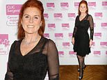 Mandatory Credit: Photo by REX/Shutterstock (5567613bc)\nDuchess of York\nA Night of Riviera Inspired Glamour for CLIC Sargeant, London, Britain - 25 Jan 2016\n