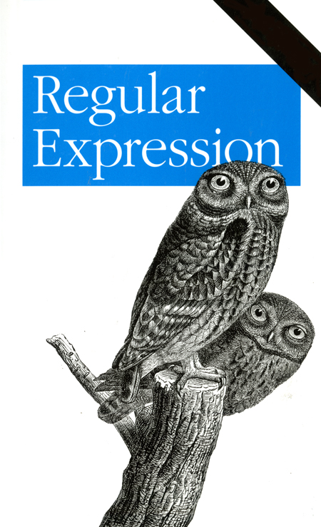 regularexpressionssmall.jpg