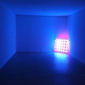 Gagosian Gallery - Dan flavin - for sale at Malevich show - New York, NY, United States