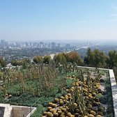The Getty Center - Cactus garden in the west pavilion with a view of century city in the background - Los Angeles, CA, United States