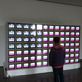 Los Angeles County Museum of Art - Ace is always in front of the TV - Los Angeles, CA, United States